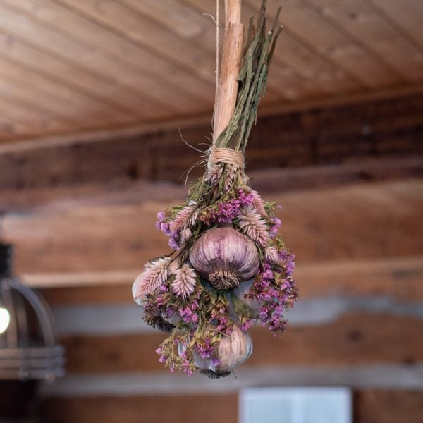 Organic garlic braid with colourful straw flowers hanging off a log beam.