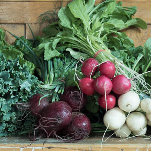 heartbeet-farm-organic-vegetables-ottawa-1-300px heartbeet-farm-organic-vegetables-ottawa-1-300px