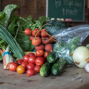 heartbeet-farm-organic-vegetables-ottawa-3-300px heartbeet-farm-organic-vegetables-ottawa-3-300px