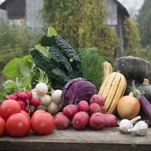 heartbeet-farm-organic-vegetables-ottawa-5-300px heartbeet-farm-organic-vegetables-ottawa-5-300px