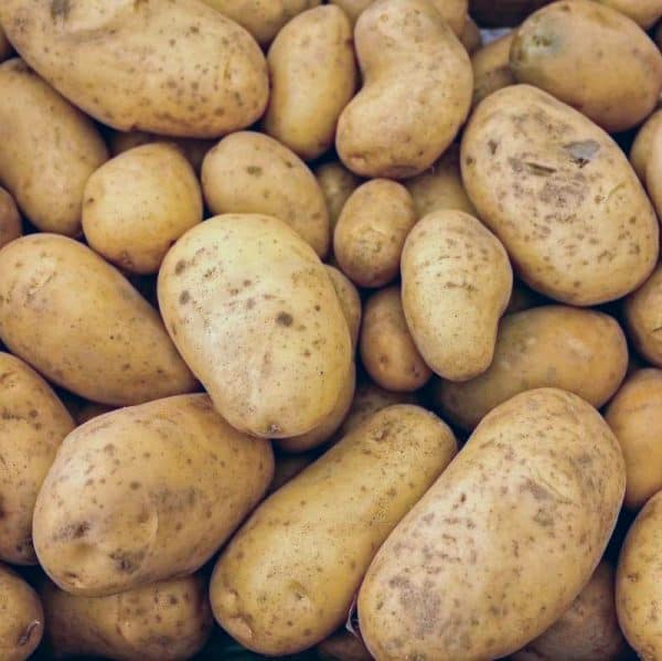 Organic onaway potatoes with light brow skin in pile shot overhead