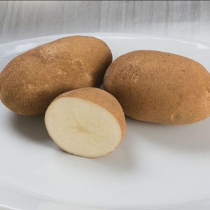 Organic gold rush potatoes russet type