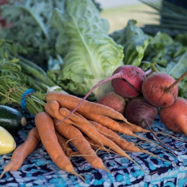 CSA share from Heartbeet Farm with carrots beets zucchini lettuce