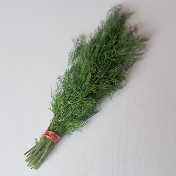 fresh organic dill in a bunch on a white table