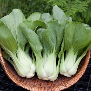 three heads of organic pak choy in a brown wicker basket