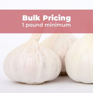 three bulbs of organic garlic, variety: music with a banner near the top that read bulk pricing, 1 pound minimum