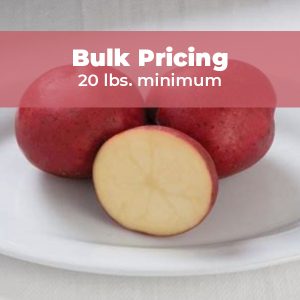 organic chieftain potatoes with red skin and white flesh on a white plate with one potato sliced open showing white flesh and banner reads bulk pricing 20 pounds minimum