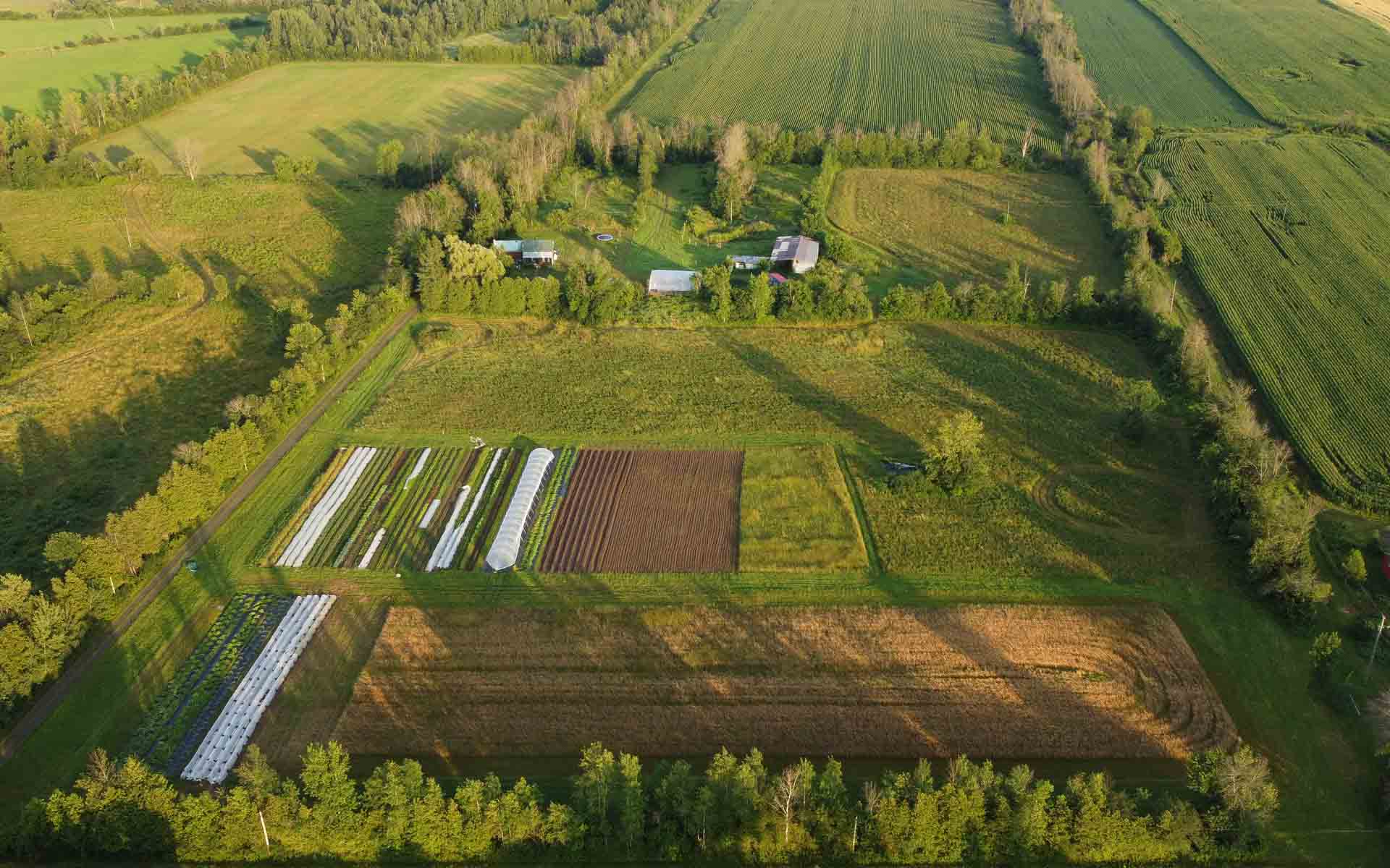 an overhead photo of the 16 acre organic farm