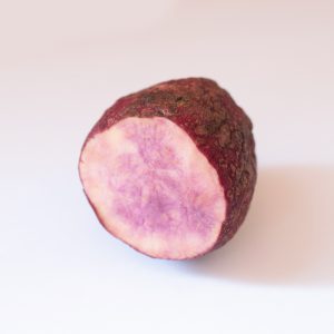 Unique sweet potato variety with dark purple skin and mottled violet flesh - bred for the colder climates of Ontario, Canada