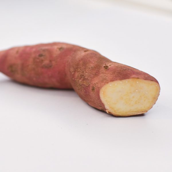 Unique sweet potato variety with bright pink skin and pale yellow flesh - bred for the colder climates of Ontario, Canada