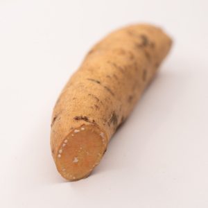 Unique sweet potato variety with tan skin and peach coloured flesh - bred for the colder climates of Ontario, Canada