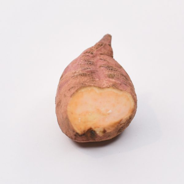 Unique sweet potato variety with pale pink skin and yellow flesh - bred for the colder climates of Ontario, Canada