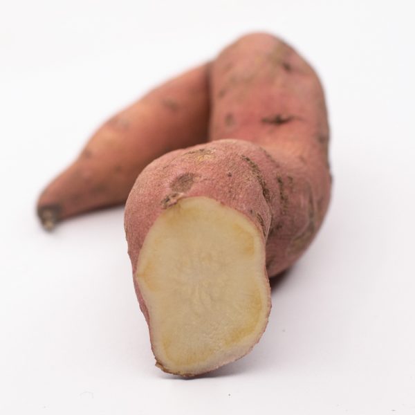 Unique sweet potato variety with rose skin and cream coloured flesh - bred for the colder climates of Ontario, Canada