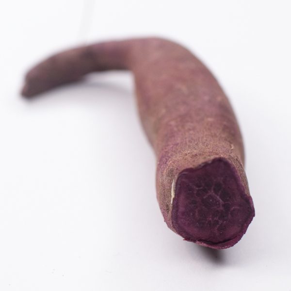 Unique purple flesh sweet potato variety bred for the colder climates of Ontario, Canada