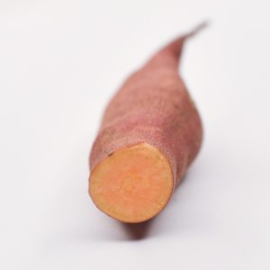 Unique sweet potato variety with bright pink skin and light orange flesh - bred for the colder climates of Ontario, Canada