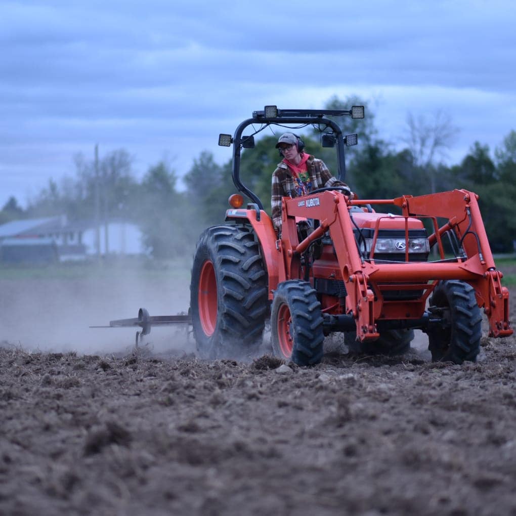 Farmer kate on an orange kubota tractor cultivating a field with s-tines