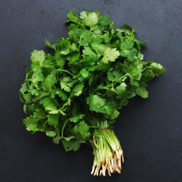 Organic Cilantro, Fresh