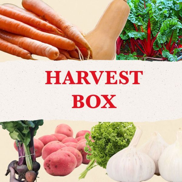 collage of fall vegetables with a banner that reads harvest box