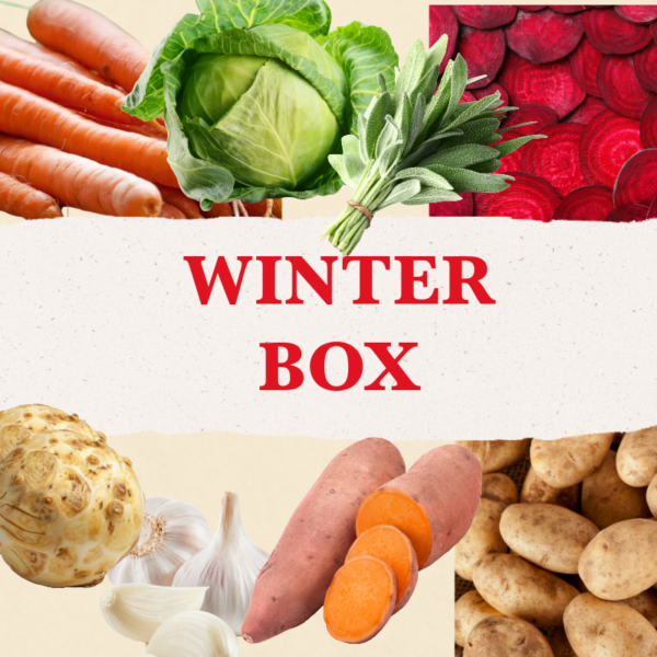collage of organic storage vegetables like carrots, cabbage, sweet potato, beets, celeriac, sage, garlic, potatoes