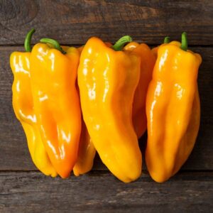 Organic Peppers, Sweet (Orange)