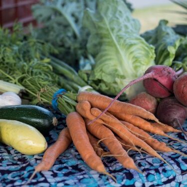 CSA share from Heartbeet Farm with carrots beets zucchini lettuce